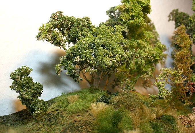 A model train