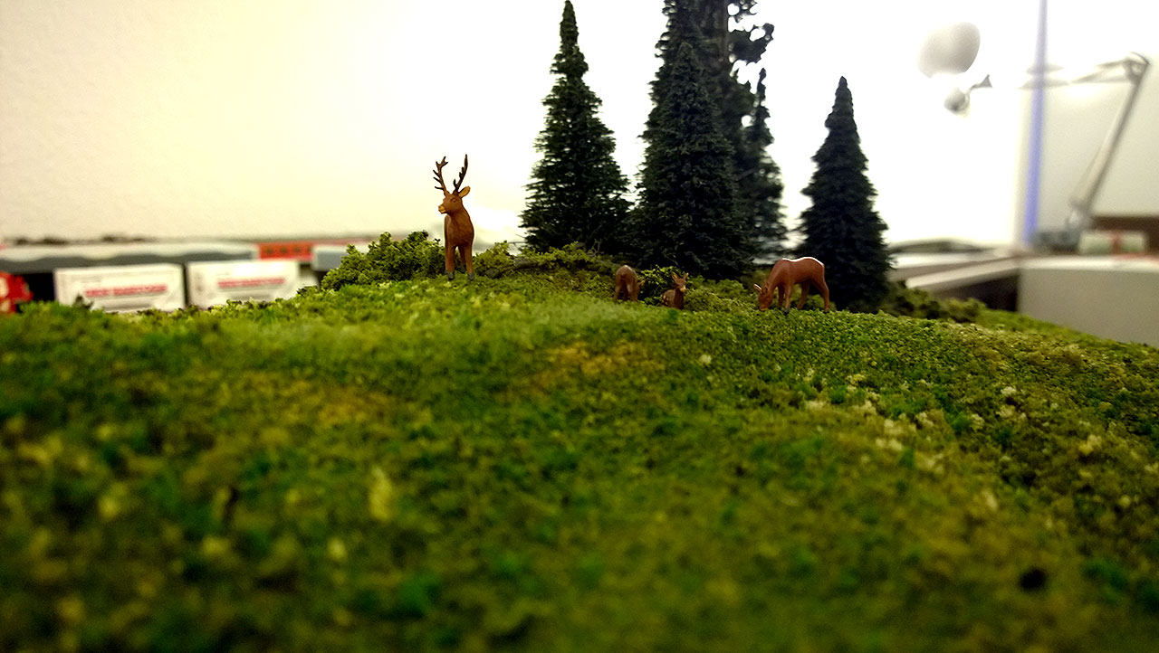 A model train